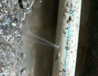 毕节市测漏水哪家好