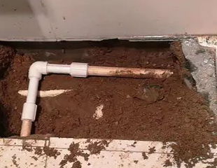 毕节市测漏水哪家好