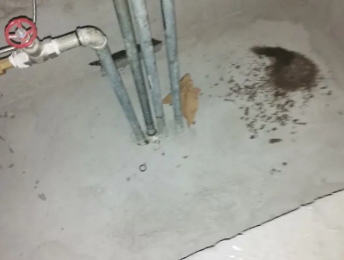 毕节市卫生间测漏水价格明细