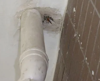 毕节市漏水检测哪家好